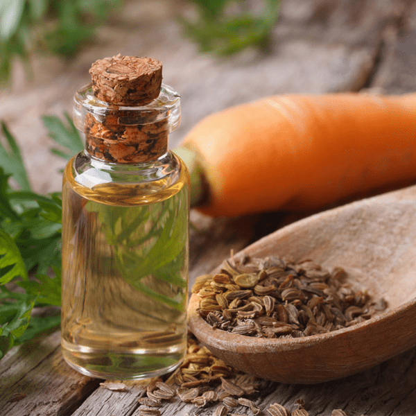 Top 10 carrot seed oil