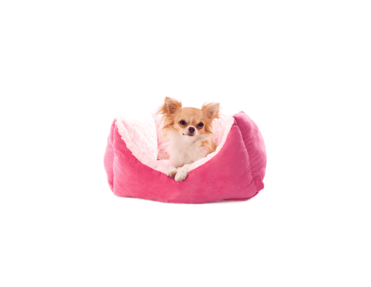 The 13 Best Anti-Anxiety Dog Beds in 2021