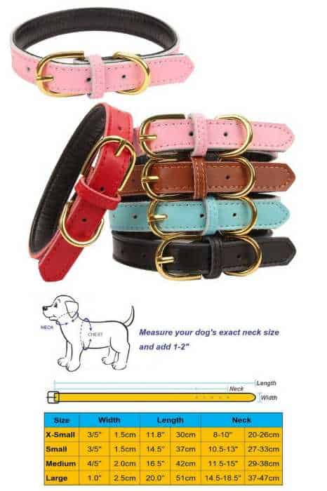 Aolove Basic Classic Padded Leather Pet Collars