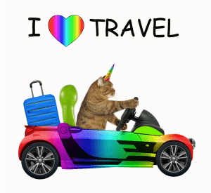 Pet-friendly travel