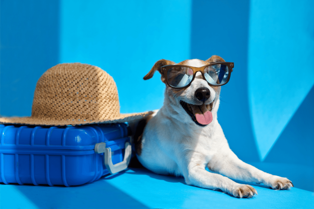 pet friendly hotels in the US