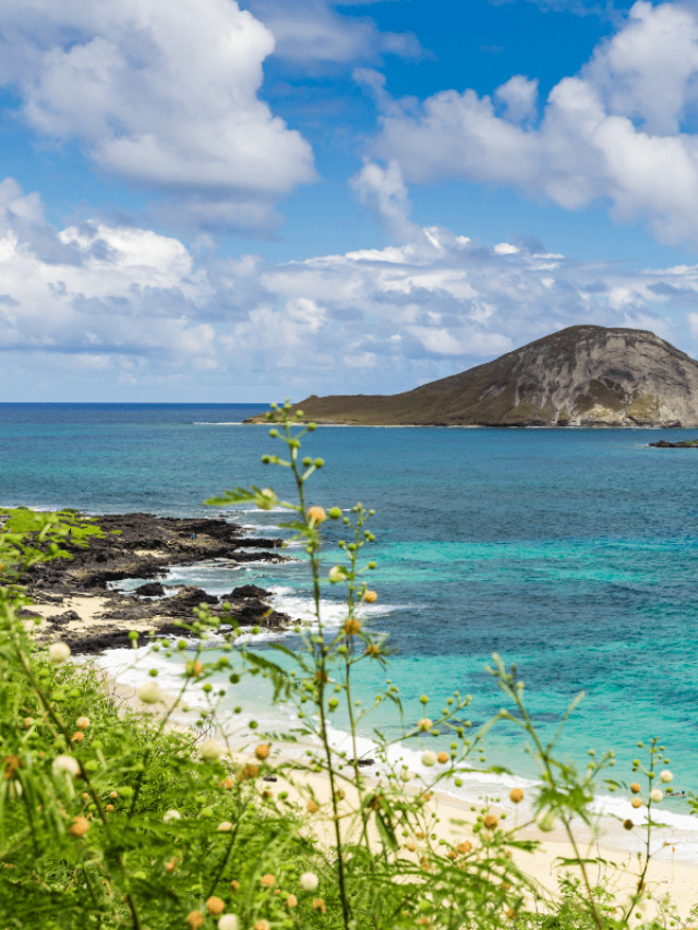 6 Beach Camping Destinations for A Perfect Waterfront Getaway