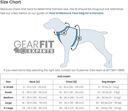 7 Best Dog Harness of 2024 for Every Budget - Expert Guide