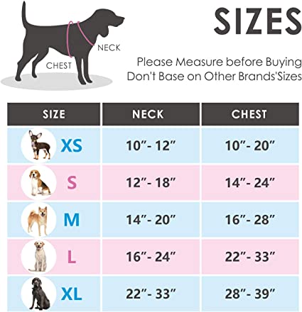 7 Best Dog Harness of 2024 for Every Budget - Expert Guide