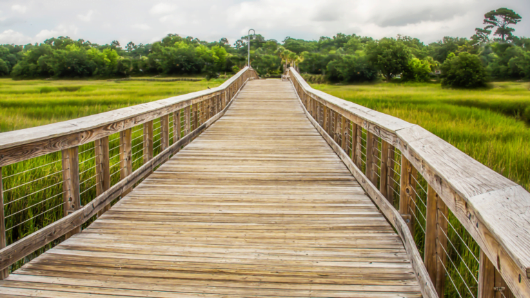Visit Shem Creek and Explore These 11 Unique Places While on Vacation