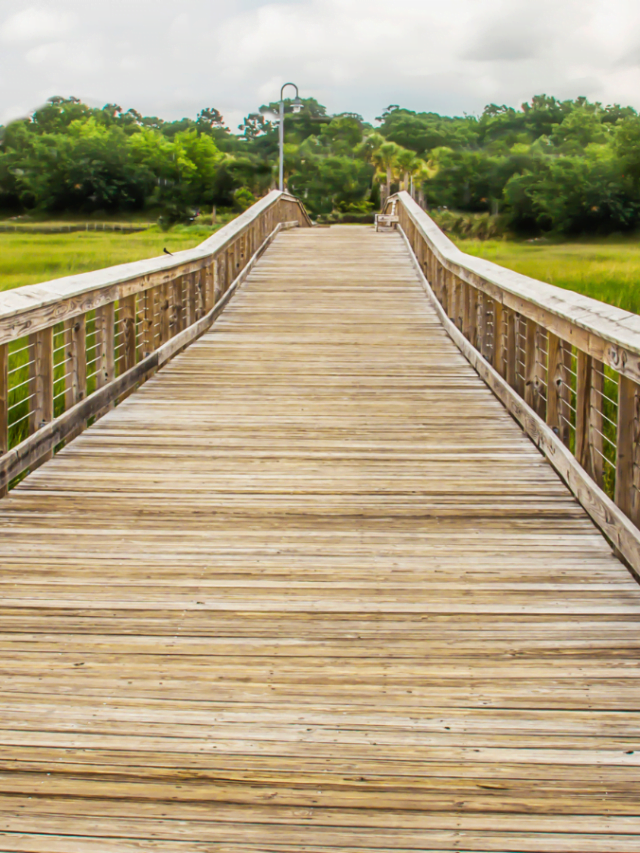 5 Interesting Places to Visit Near Shem Creek