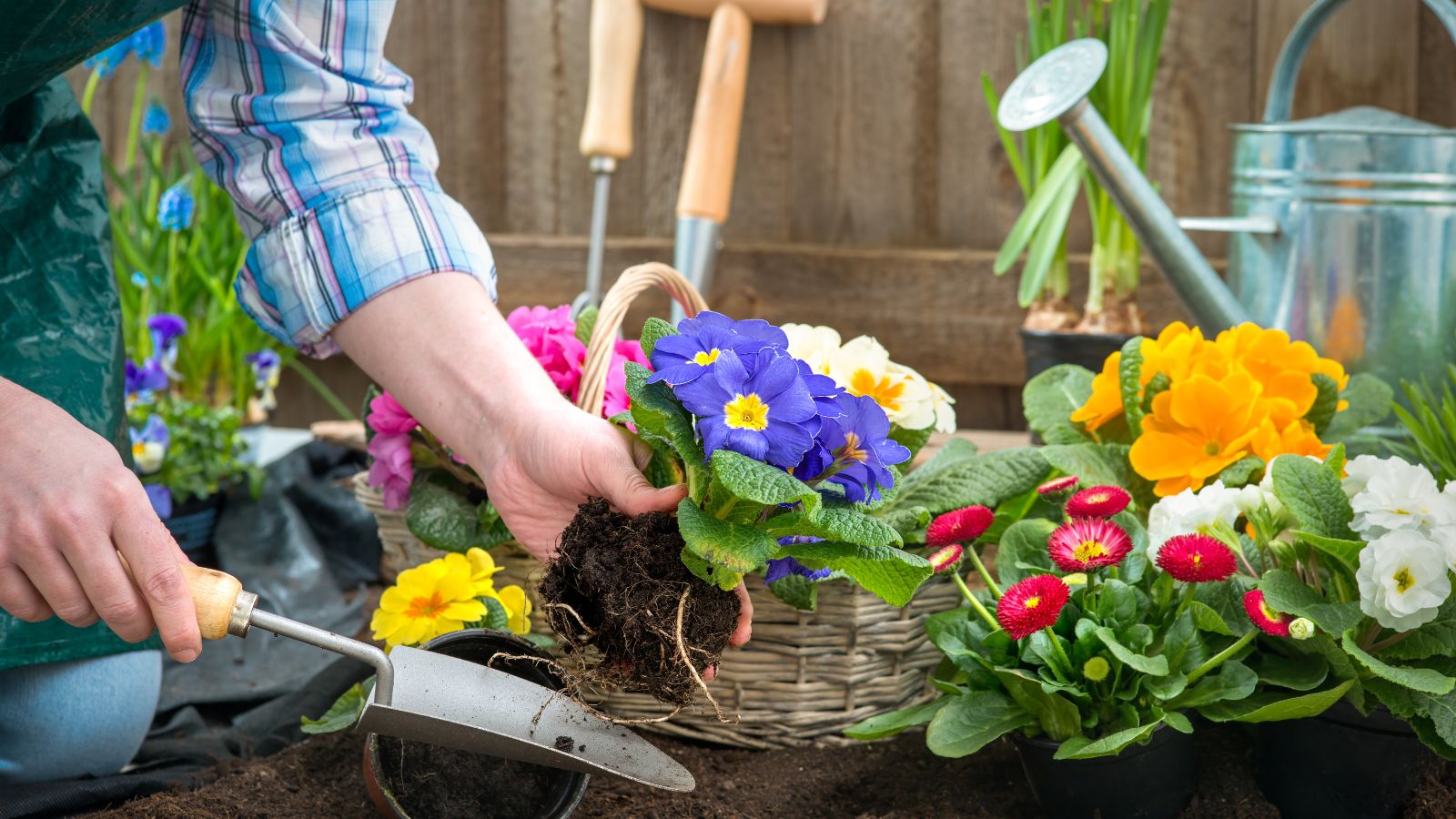 Transform Your Boredom into Adventure with These 20 Budget-Friendly Hobbies