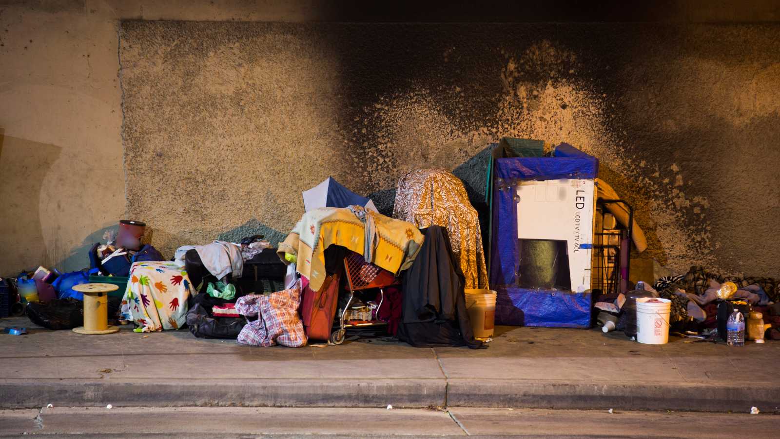 Homelessness in America