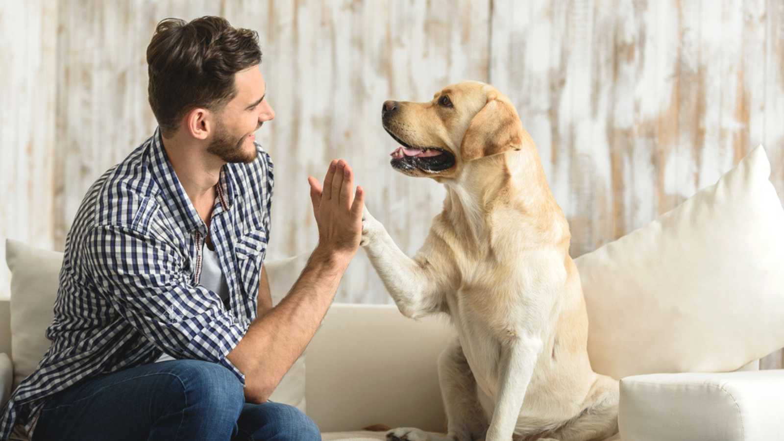 happy guy sitting on a sofa and looking at dog