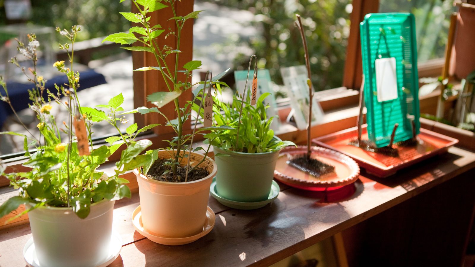 Transform Your Boredom into Adventure with These 20 Budget-Friendly Hobbies