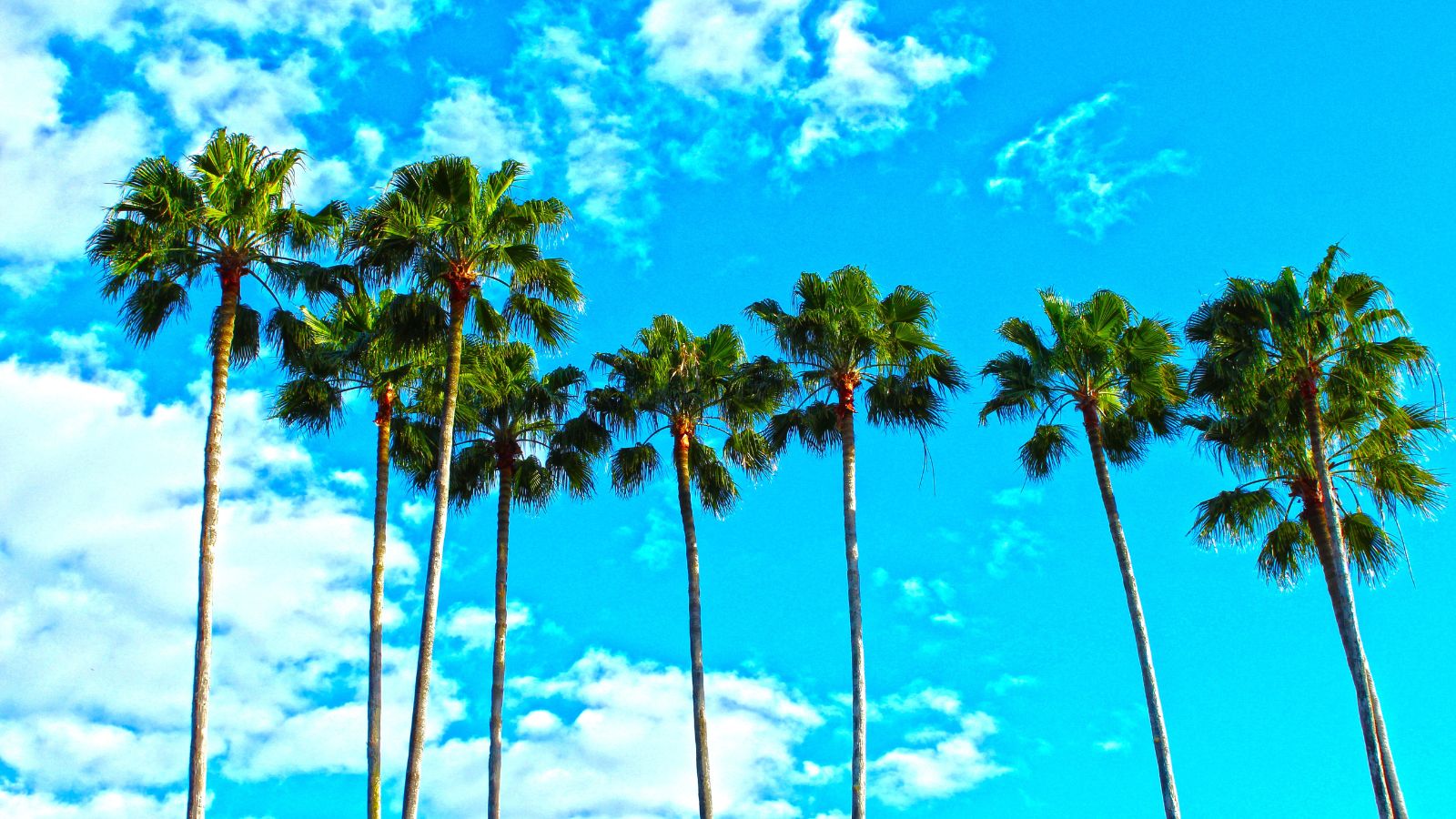 Discover the Ultimate Beachfront Dream: Top 10 Places to Buy Your Perfect Waterside Home in America!