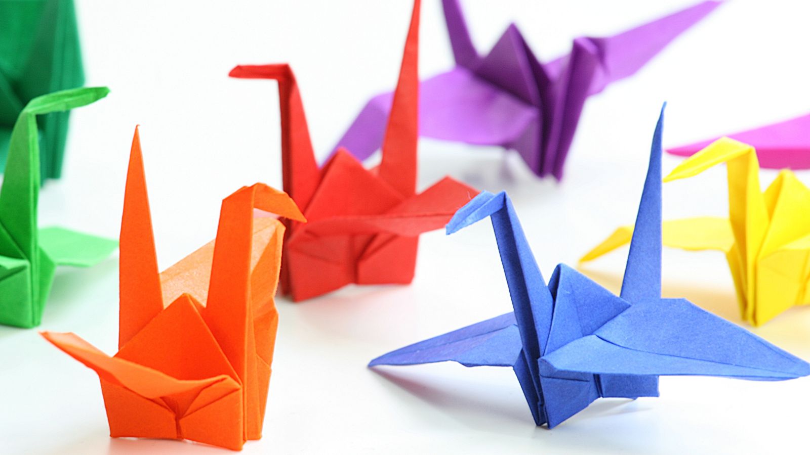 Transform Your Boredom into Adventure with These 20 Budget-Friendly Hobbies