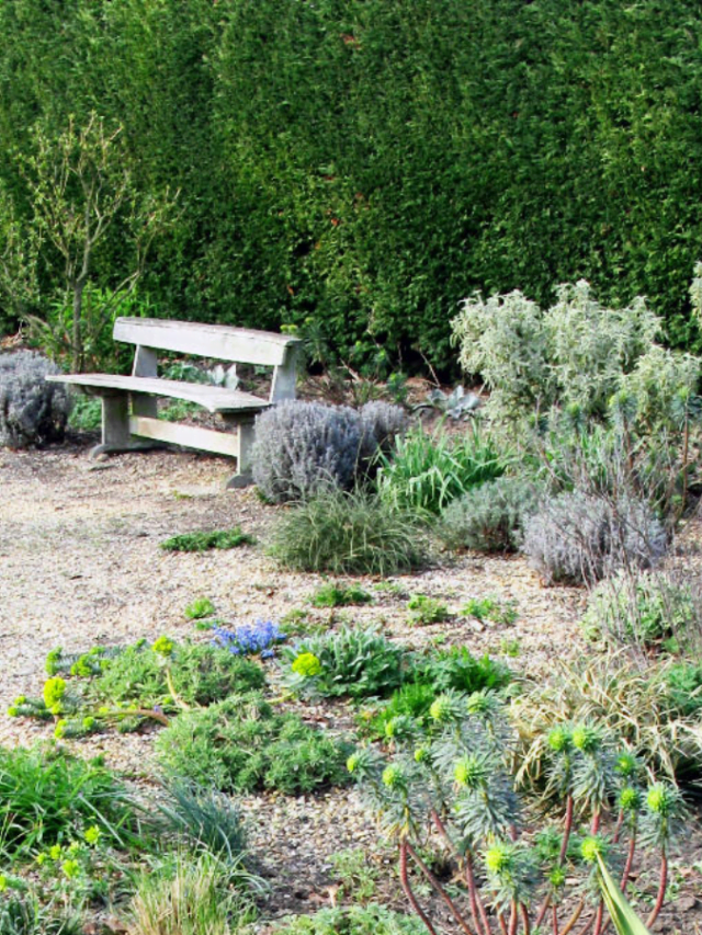 8 Ideas to Make Your Backyard Shine