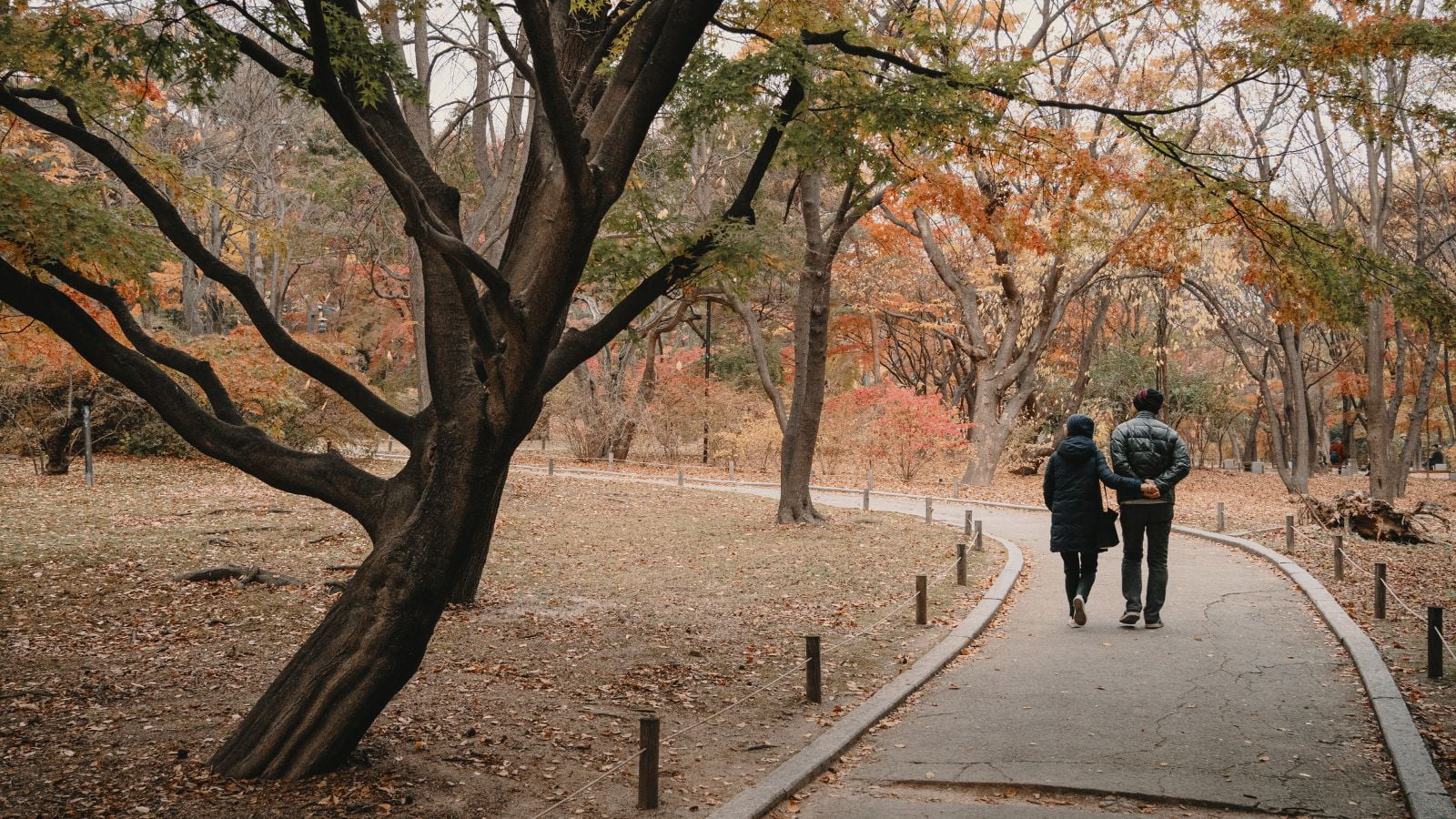 Couple taking a stroll in the park