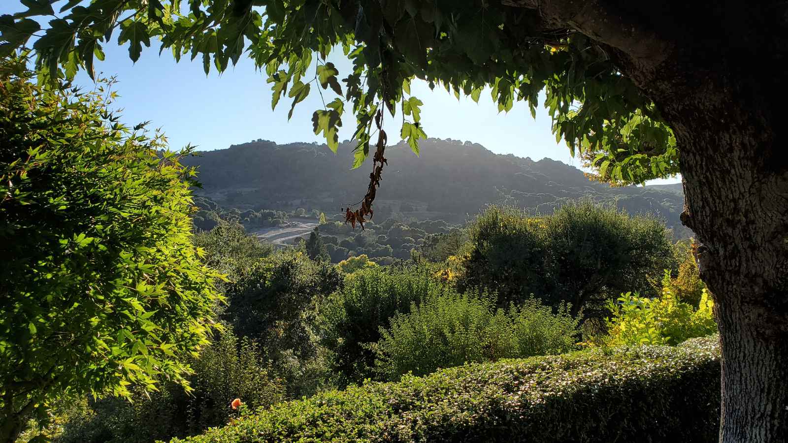 16 U.S Cities With the Friendliest People You'll Ever Meet