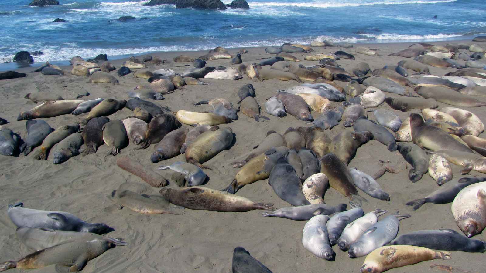 16 U.S Cities With the Friendliest People You'll Ever Meet