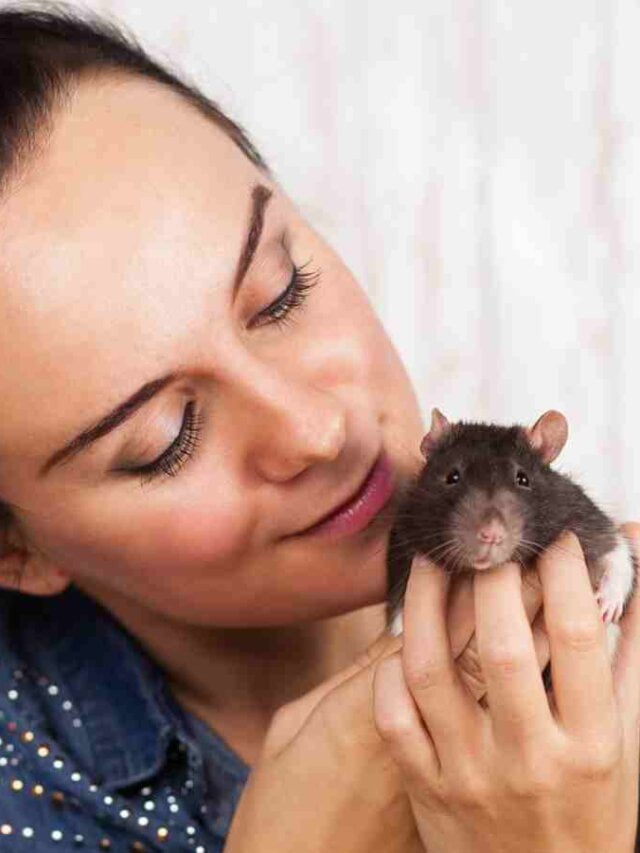 6 of the Most Uniquely Weird and Unusual Pets in the World