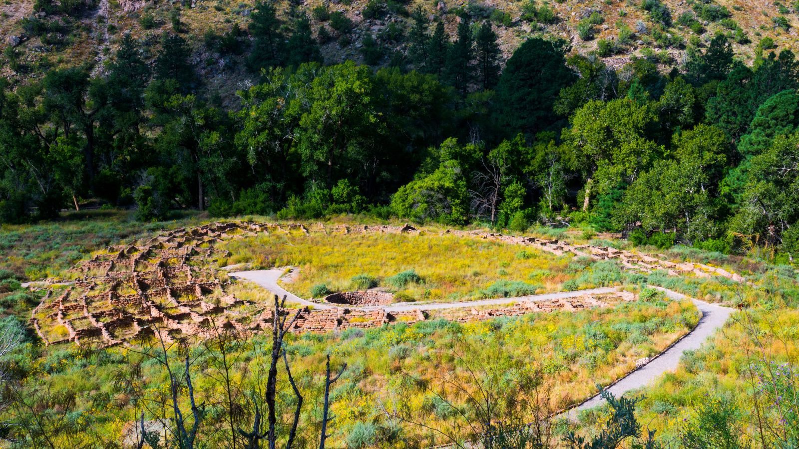 These 15 New Mexico National Parks Will Leave You Enchanted