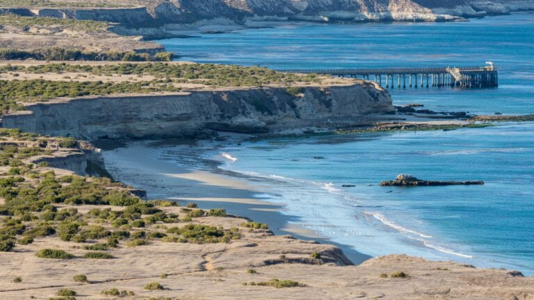 Beyond the Mainland: Exploring Channel Islands National Park