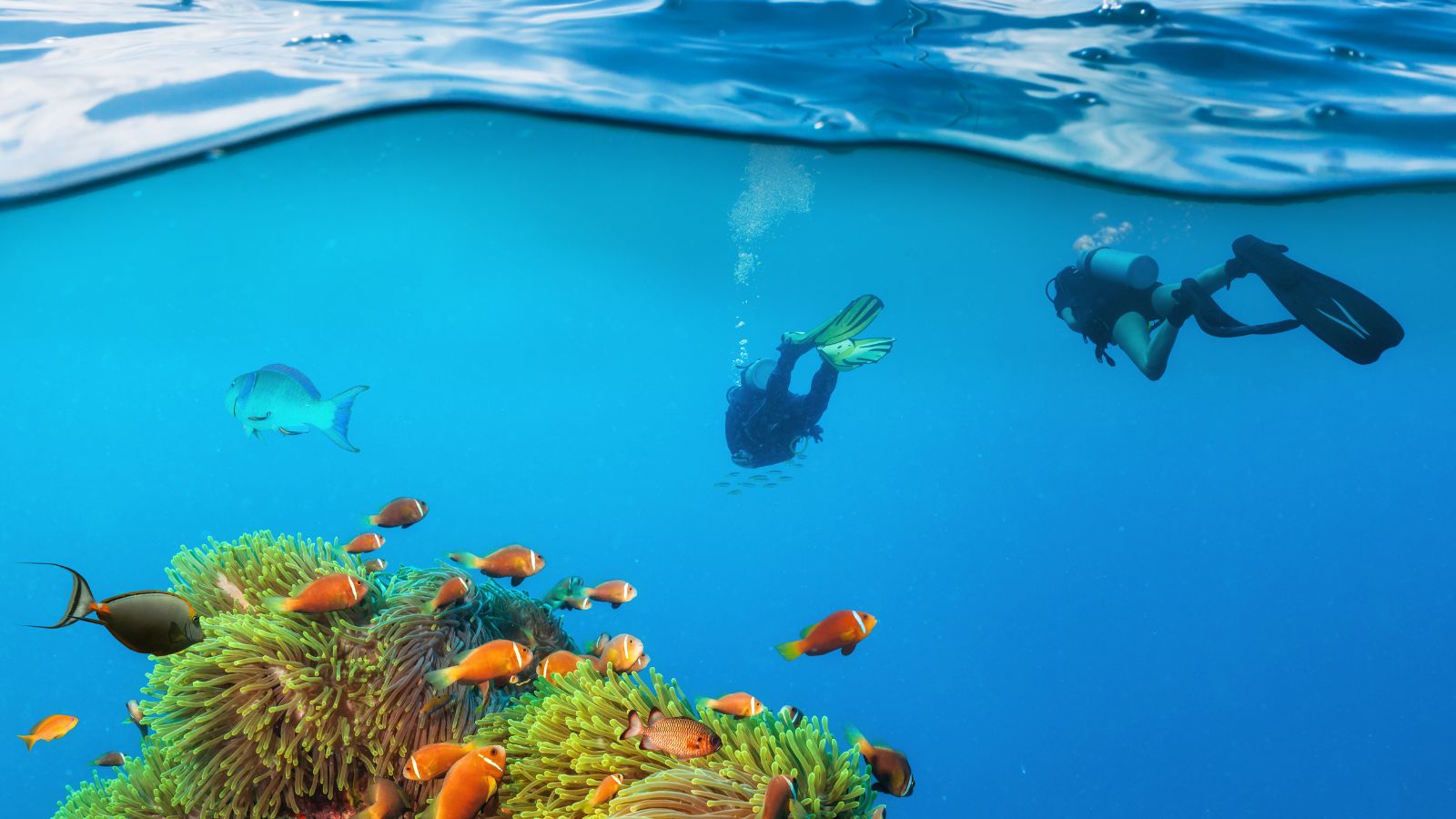 Beyond the Mainland Exploring Channel Islands National Park (2)