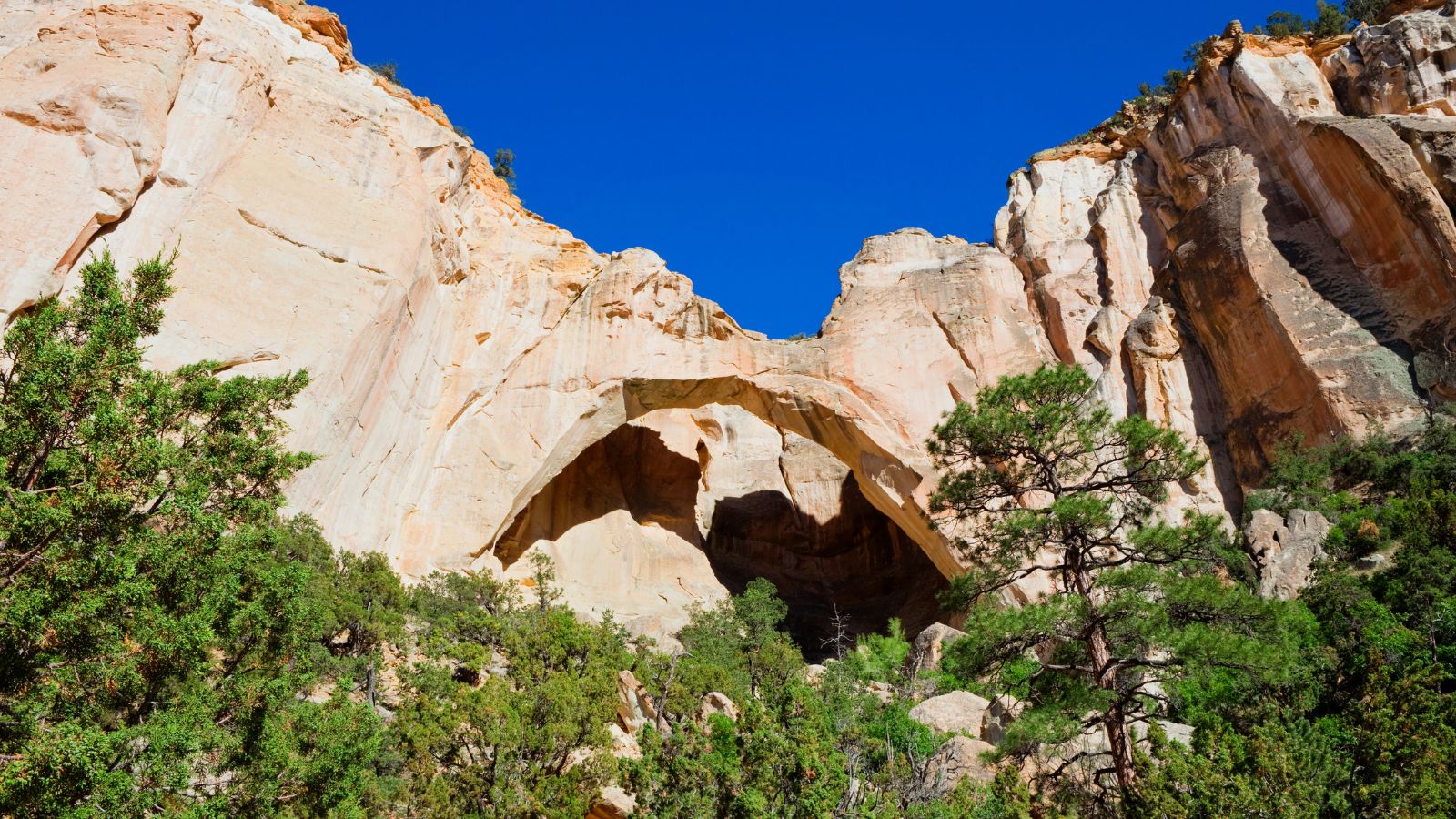 These 15 New Mexico National Parks Will Leave You Enchanted