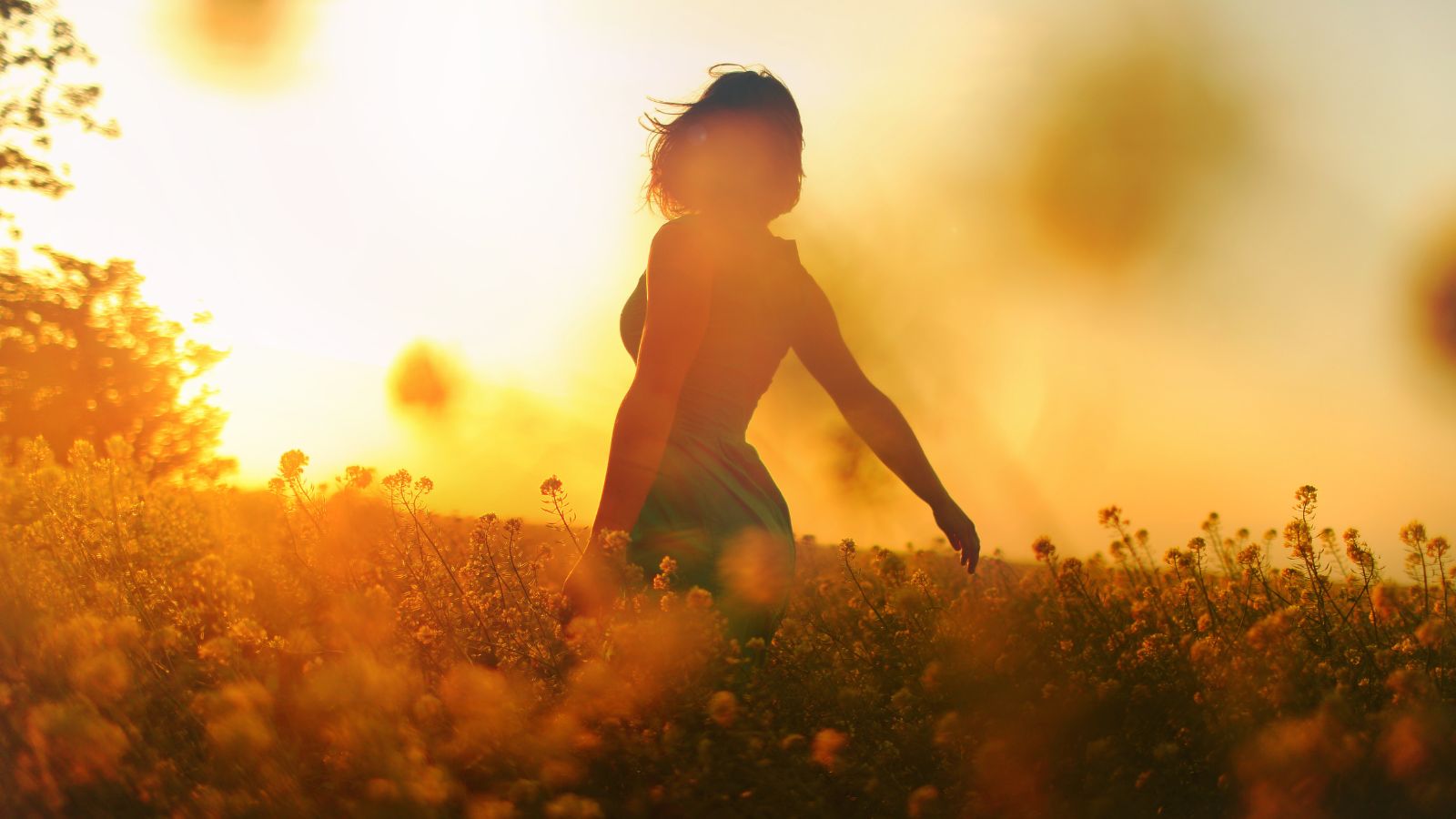 Beyond the Mainland Exploring Channel Islands National Park (2)