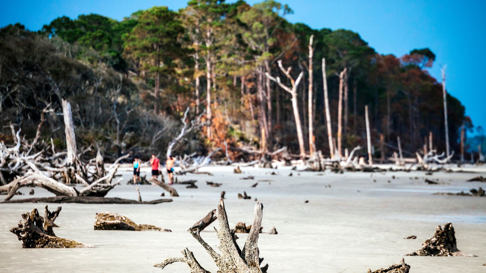 15 Places in History You Must Visit Once in Your Lifetime