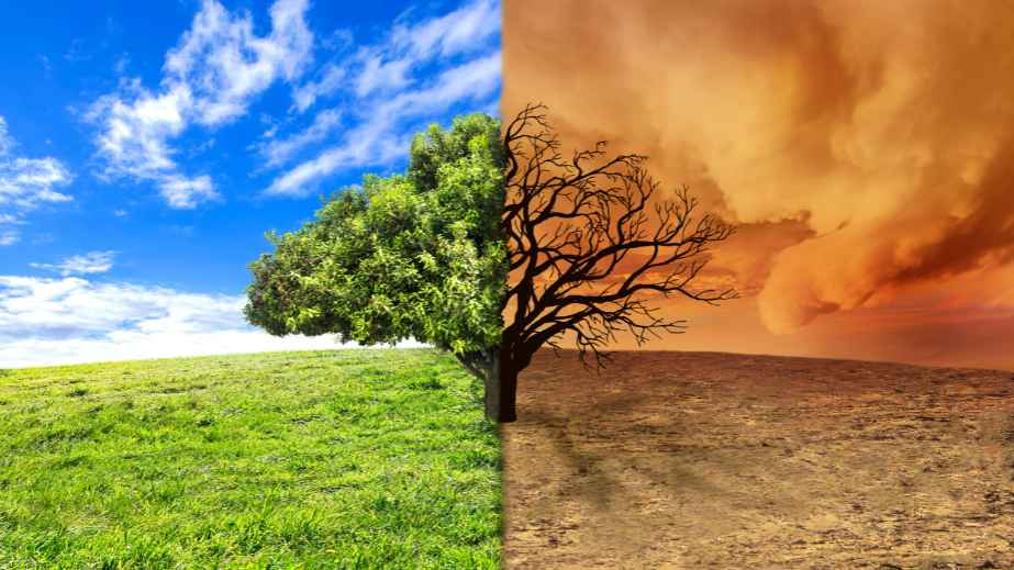 Man or Nature: Who is to blame for Wildfires in North America. 11 Debunking Facts