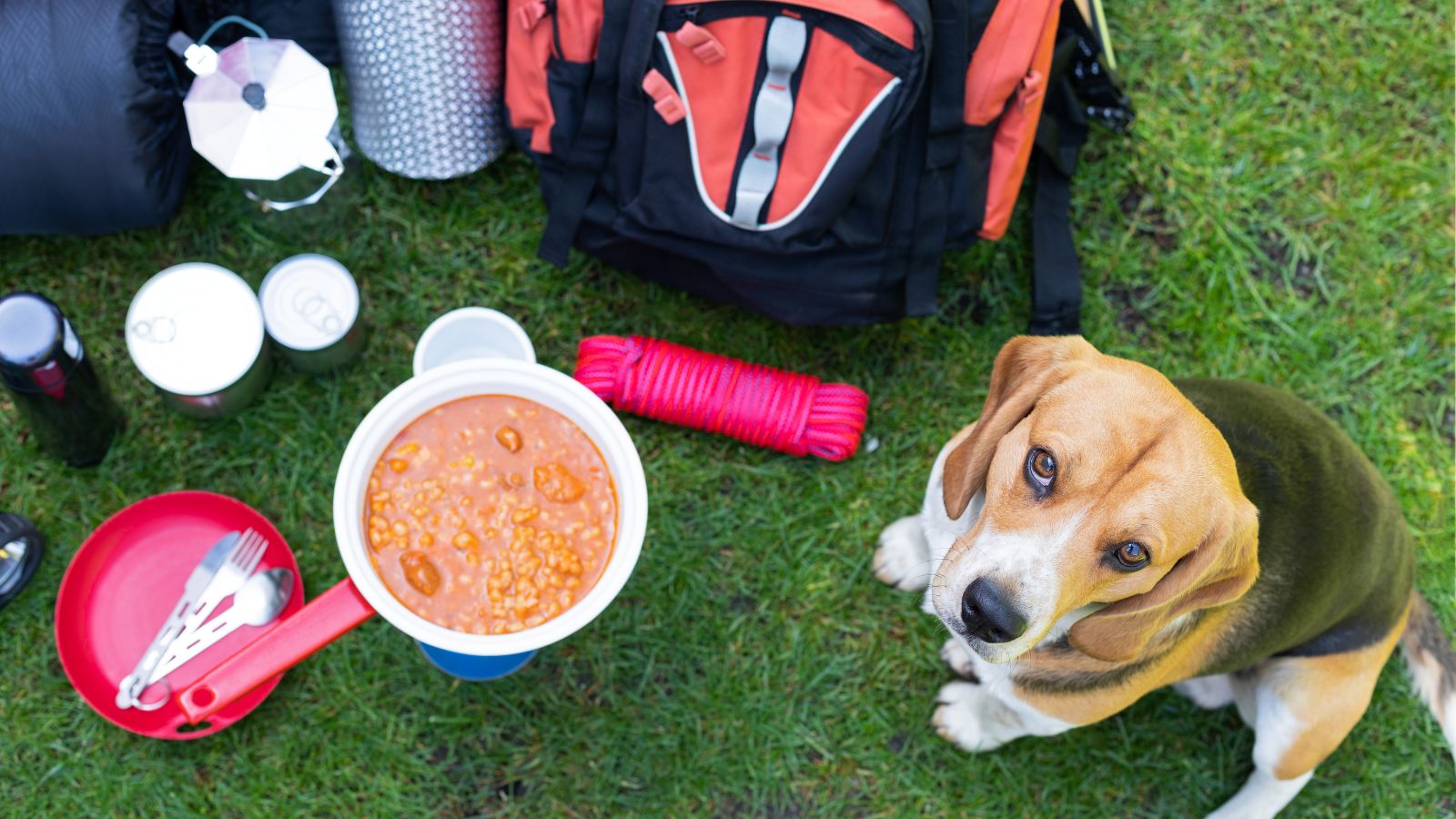 The Only Camping Checklist You’ll Ever Need