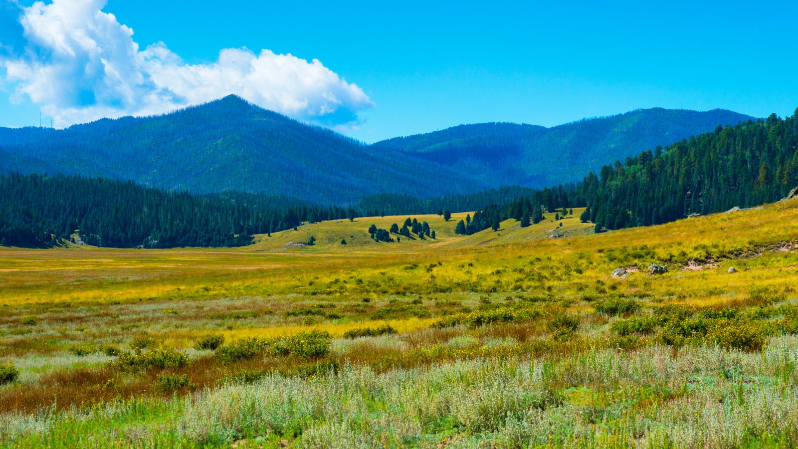 These 15 New Mexico National Parks Will Leave You Enchanted