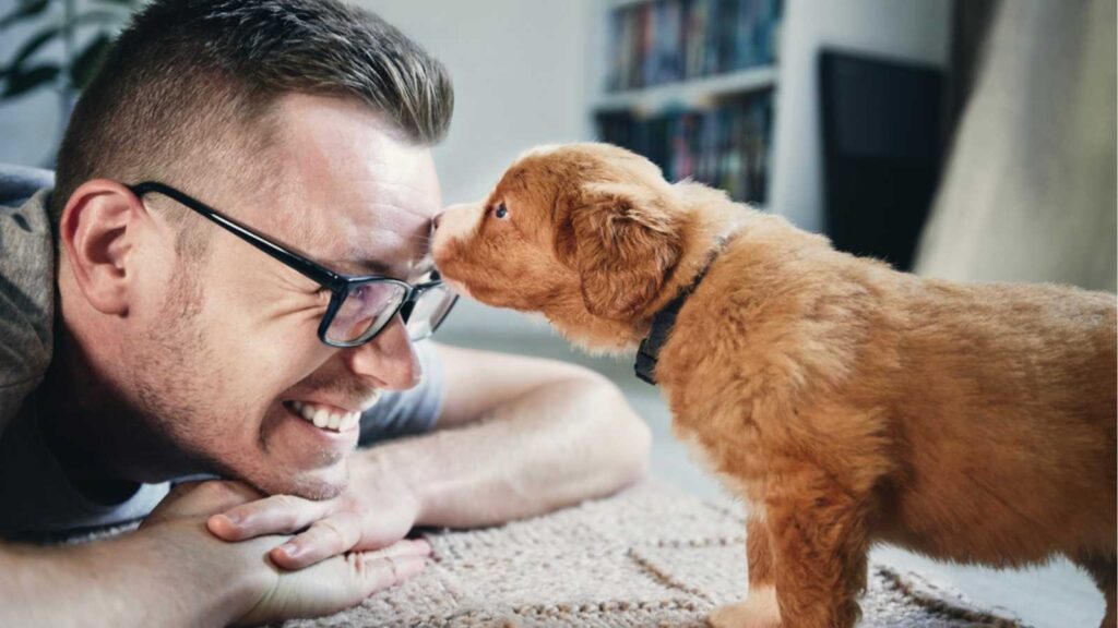 Man playing with dog