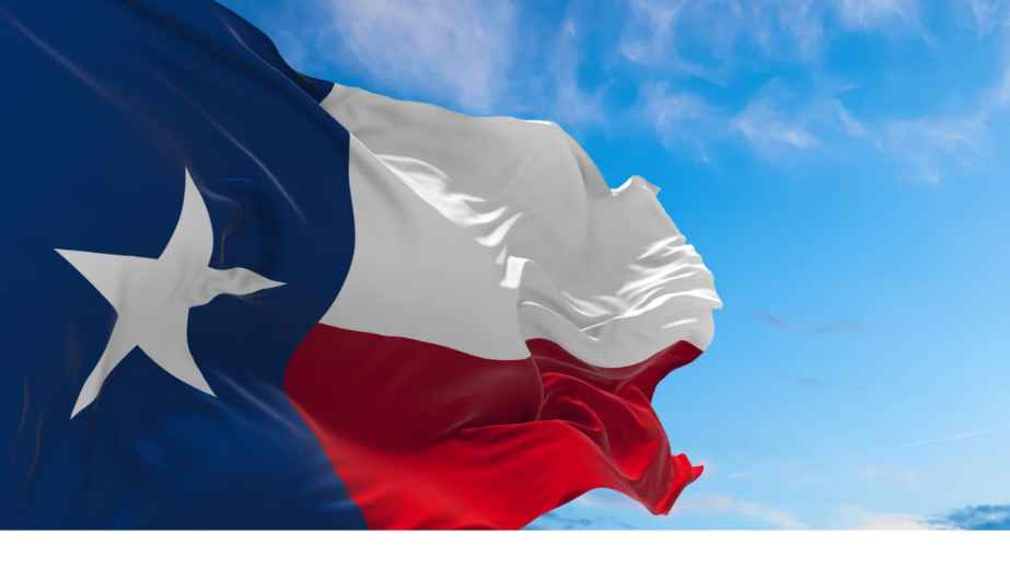 Texas Flag