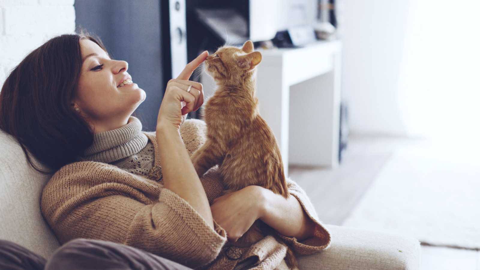 Woman playing with cat