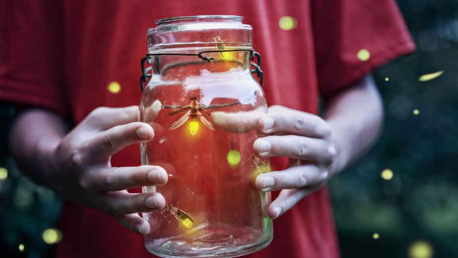 15 Simple Pleasures in Life We Often Overlook