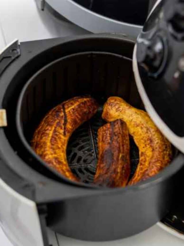 The 5 Best Air Fryer Toaster Oven of 2024