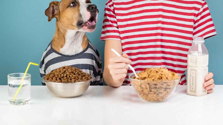 Can dog food be eaten by humans hotsell