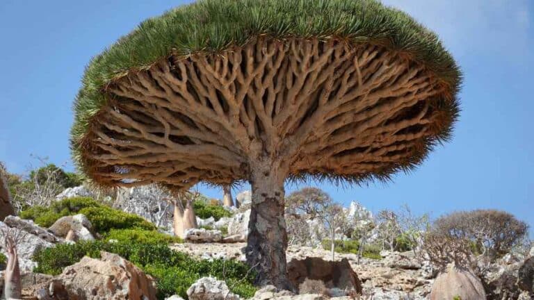 15 Places on Earth That Are Too Good to Be Real