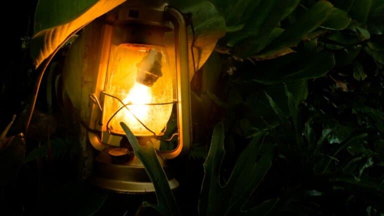 15 Common Mistakes Every Camper Should Avoid