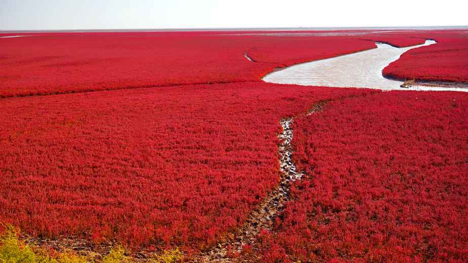 15 Places on Earth That Are Too Good to Be Real