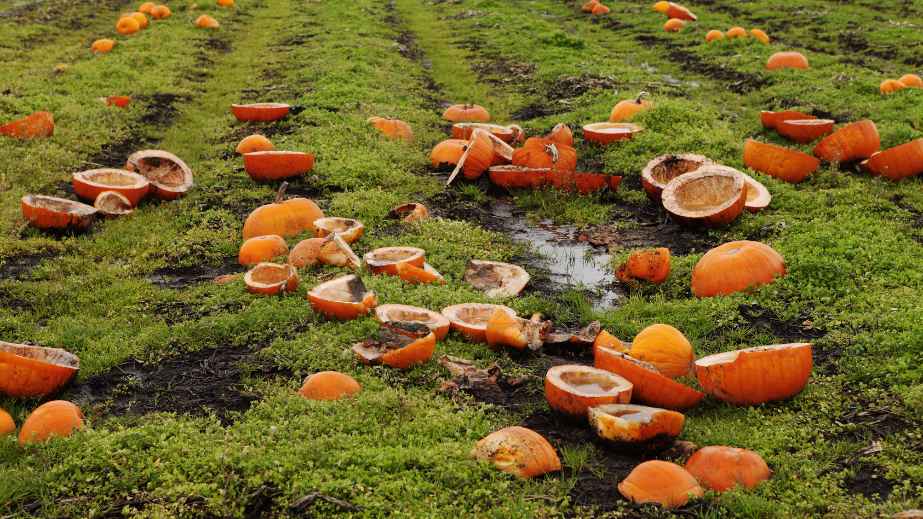 14 Strange Thanksgiving Traditions That Everyone Pretends Aren't Weird