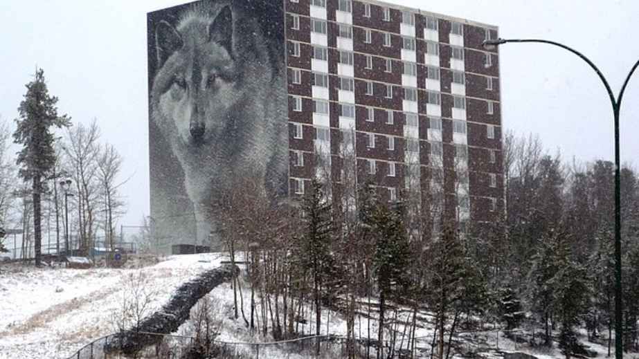 12 Of The Most Dangerous Places In The World, According To The People Who Live There