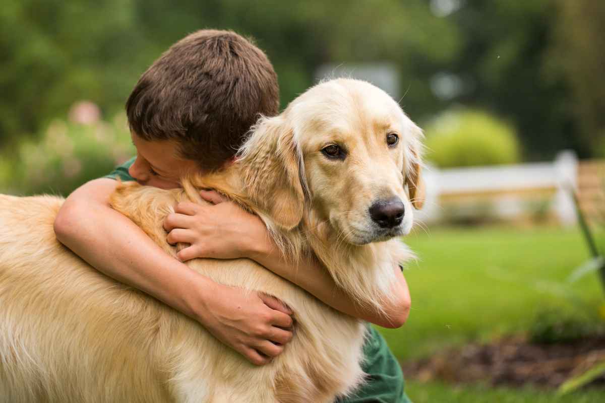 While it may seem counterintuitive to many pet owners, studies suggest that dogs may not appreciate hugs as much as humans do. Hugging, a common display of affection among humans, can potentially cause stress and anxiety in dogs. This can be attributed to the canine instinct for flight, which is impeded when they're held tightly. A dog's primary means of avoiding danger or stress is to run away, and a hug can make them feel trapped. Hence, it's important for pet owners to observe their dog's body language closely and respect their individual boundaries for the most harmonious and loving relationship.