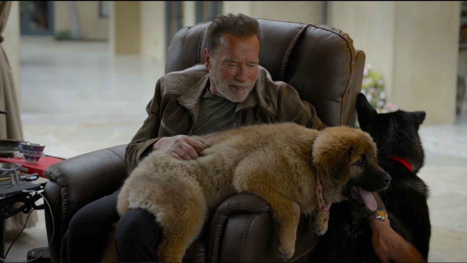 15 Actors Who Showed Up In Movies Just To Say One Line