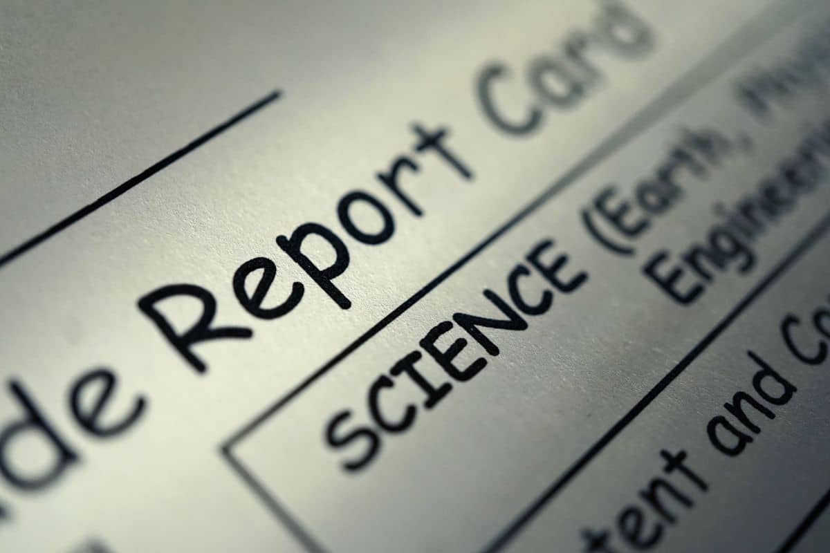 Paper Report Cards
