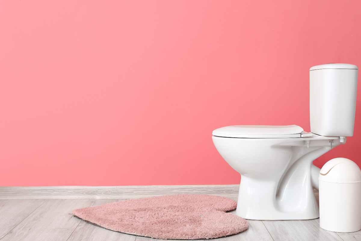 15 Things Your Parents Had in Their House That you Never See Today
