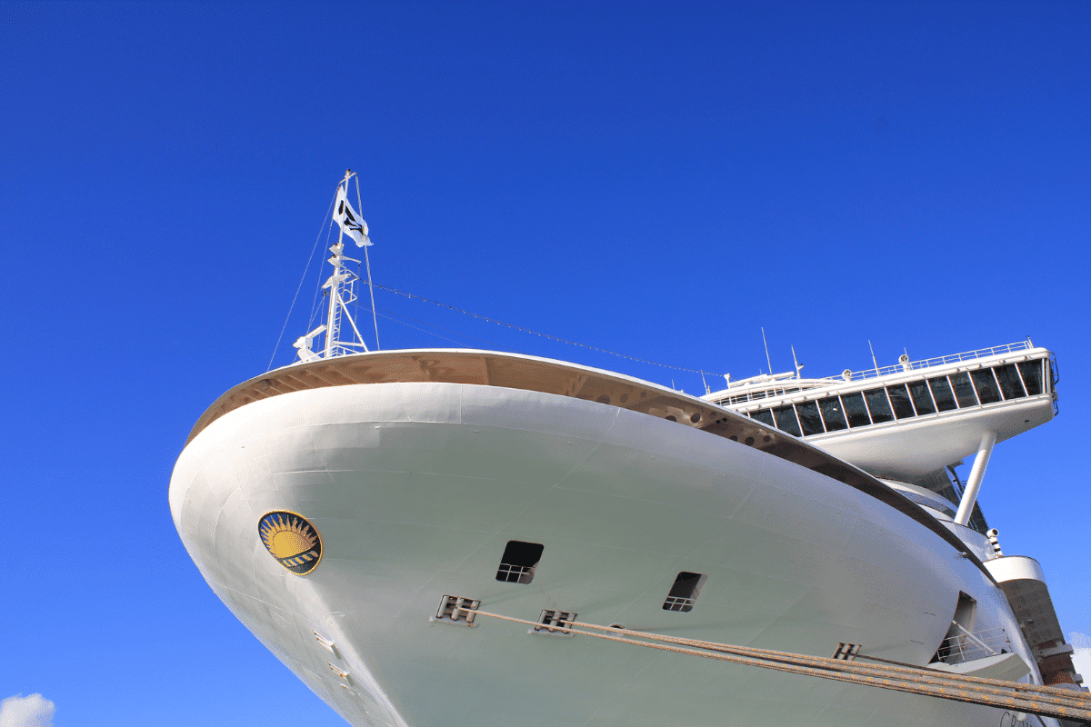 Princess Cruise Ships