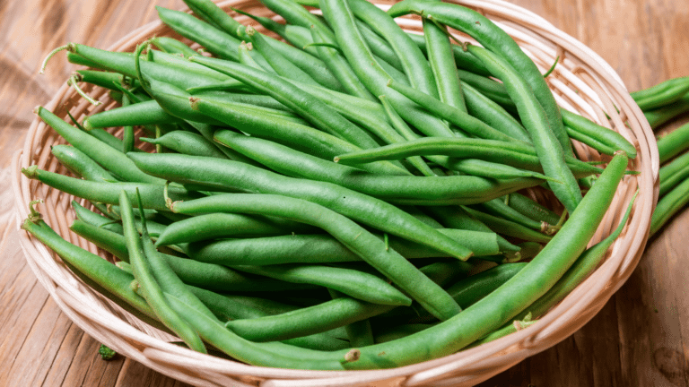 How to Freeze Fresh Green Beans to Enjoy All Year