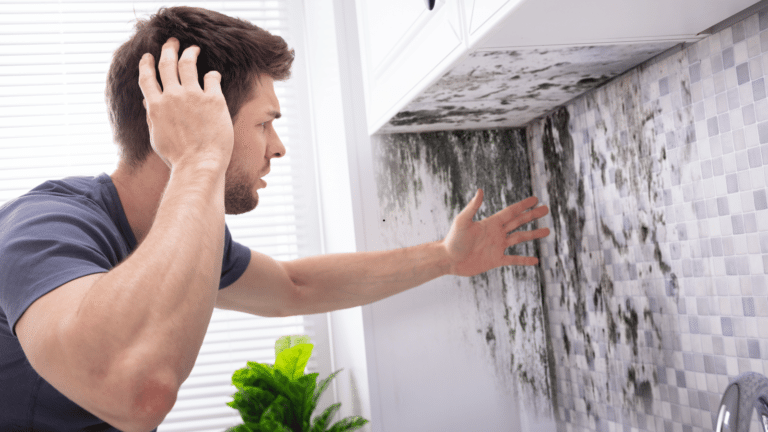 How to Get Rid of Mold in the Bathroom and Keep it From Returning