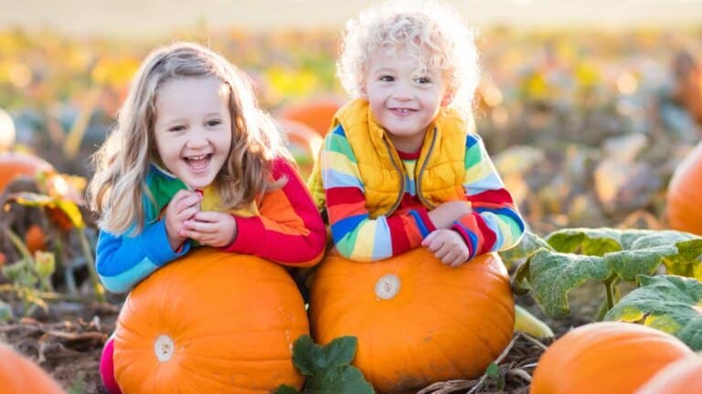 How to Grow, Harvest, and Care for Your Pumpkins