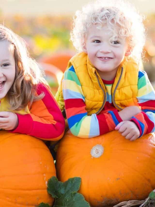 How to Grow, Harvest, and Care for Your Pumpkins